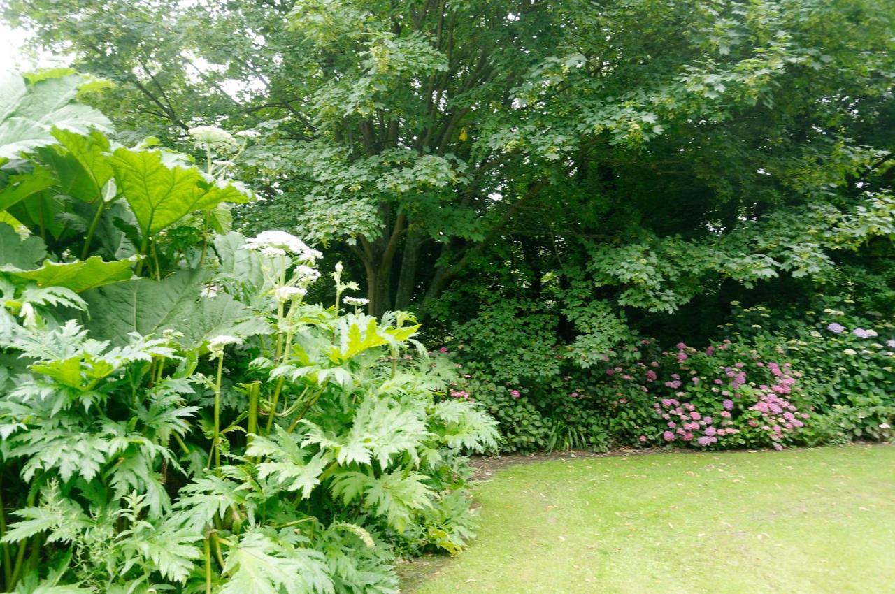 Le Cottage Bordeaux-Saint-Clair Ngoại thất bức ảnh
